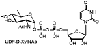 尿苷二磷酸-D-木糖胺酸 UDP-D-XylNAc