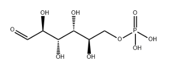 2-Mannose-6-phosphate，CAS号3672-15-9