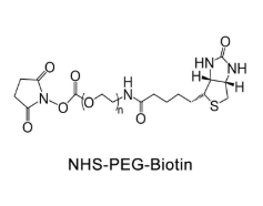 Biotin-PEG-NHS，生物素-聚乙二醇-活性酯