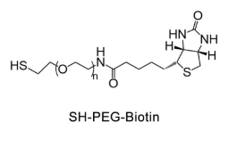 Biotin-PEG-SH，生物素-聚乙二醇-巯基