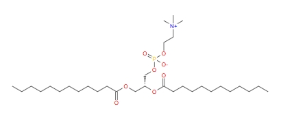 二月桂酰基卵磷脂 ，DLPC
