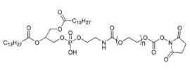 DMPE-PEG-NHS，二肉豆蔻酰基磷脂酰乙醇胺-聚乙二醇-琥珀酰亚胺碳酸酯