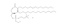 1,2-二棕榈酰-SN-甘油-3-乙基磷酸胆碱,氯盐，CAS:328250-18-6