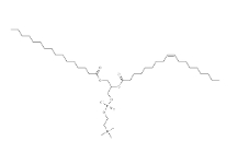 (Rac)-POPC，CAS:26662-91-9