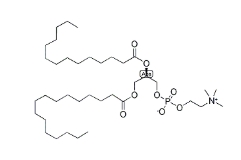 PMPC，CAS:69441-09-4，1-棕榈酰基-2-肉豆蔻酰基-sn-甘油-3-磷酸胆碱