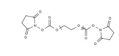 NHS-PEG-NHS	       122375-06-8        琥珀酰亚胺酯-聚乙二醇-琥珀酰亚胺酯	
