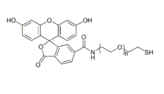 SH-PEG-FITC，FITC-PEG-SH，巯基-聚乙二醇-荧光素