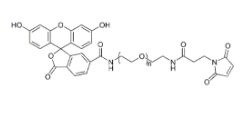 FITC-PEG-MAL，MAL-PEG-FITC，荧光素聚乙二醇马来酰亚胺