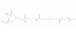 DSPE-SS-PEG，磷脂-双硫键-聚乙二醇，磷脂-聚合物复合物