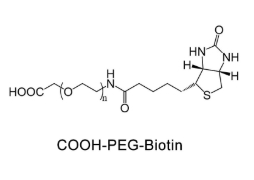 Biotin-PEG-COOH，Biotin-PEG-carboxyl，生物素聚乙二醇羧基，连接剂