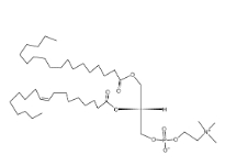 56421-10-4 ,1-硬脂酰基-2-油酰基卵磷脂（SOPC）