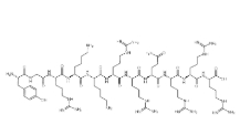 TAT peptide TAT多肽 ，CAS: 191936-91-1
