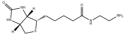 Biotin-NH2，生物素-乙二胺，CAS号111790-37-5