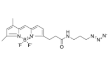 BODIPY FL azide 