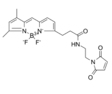BDP FL马来酰亚胺	 
