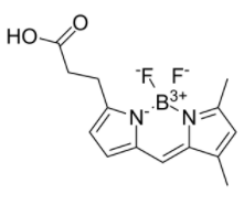 3-Bodipy-propanoic Acid  