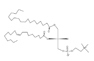 1-硬脂酰基-2-油酰基卵磷脂（SOPC)，56421-10-4