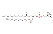 1,2-二十二酰基-sn-glycero-3-胆碱磷酸(DLPC)，18194-25-7