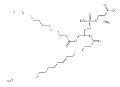 磷脂酰丝氨酸系列（PS 类磷脂）(DMPS),105405-50-3