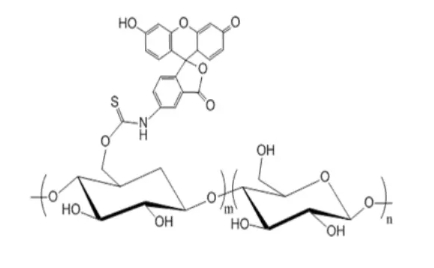 Dextran-FITC，FITC修饰葡聚糖