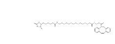 Desthiobiotin-PEG4-DBCO，2032788-37-5