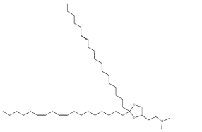 DLin-KC2-DMA