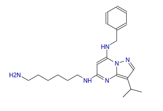 BS-181，CAS号1092443-52-1.png