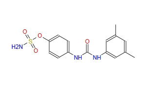CAIX Inhibitor S4，CAS号1330061-67-0，是一种碳酸酐酶IX（CAIX）特异性抑制剂