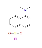 COOH-PEG-Dansyl，羧基聚乙二醇丹磺酰氨，CAS号605-65-2.png