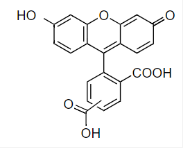 5(6)-FAM 5(6)-羧基荧光素 CAS 72088-94-9
