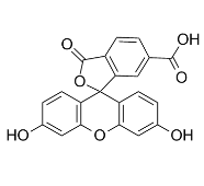 6-FAM ，6-羧基荧光素，CAS号：3301-79-9