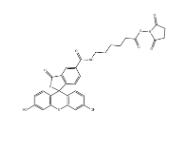 5-FAM-X, SE 5-羧基荧光素琥珀酰亚胺酯 CAS号：148356-00-7