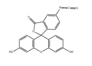 CAS：3326-32-7；5-FITC；5-异硫氰酸荧光素常用于标记胺的荧光素衍生物
