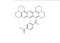CAS号：194785-18-7；6-ROX；6-羧基-X-罗丹明，作为耦合至5-FAM的受体, 在FRET成像中作为供体