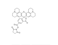  CAS号：114616-32-9；5(6)-ROX, SE；5(6)-羧基-X-罗丹明琥珀酰亚胺酯