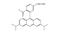 CAS号：80724-20-5；6-TRITC；四甲基罗丹明-6-异硫氰酸