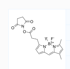 CAS号：146616-66-2；BDP FL NHS Ester；细胞标记探针 Bodi Fluor 488 SE(相当于Bodipy FL)