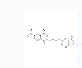 CAS号：82321-04-8；DNP-X 酸, SE；6-(2,4-二硝基苯胺基)己酸-N-琥珀酰亚氨基酯