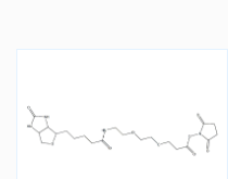 CAS号：596820-83-6；生物素 PEG2 琥珀酰亚胺酯