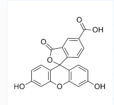 5-FAM；5-羧基荧光素；CAS号：76823-03-5