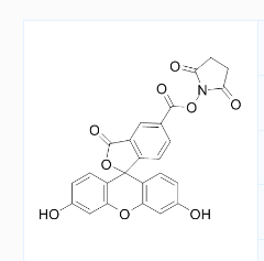 5-FAM,SE 5-羧基荧光素琥珀酰亚胺酯 CAS号：92557-80-7