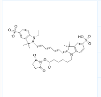 Cy7 NHS酯；CY7-Sulfo NHS Ester；CAS号：477908-53-5