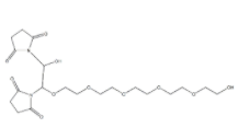 Bis-PEG7-NHS ester  