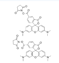 CAS号：246256-50-8；5(6)-TAMRA, SE；5(6)-羧基四甲基罗丹明琥珀酰亚胺酯