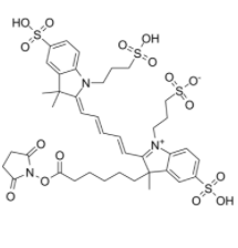 	AF647-NHS ester 