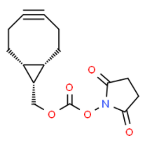 endo-BCN-NHS ester 