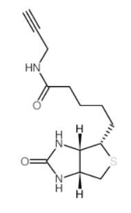 Biotin alkyne 