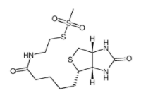N-Biotinylaminoethyl Methanethiosulfonate 