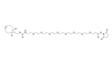 endo-BCN-PEG8-NHS ester 