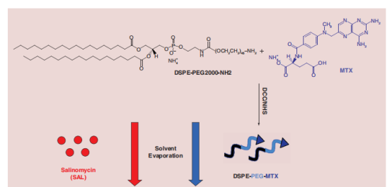 DSPE-PEG2000-NH2和甲氨蝶呤的羧基发生酰胺化反应的实验使用方法